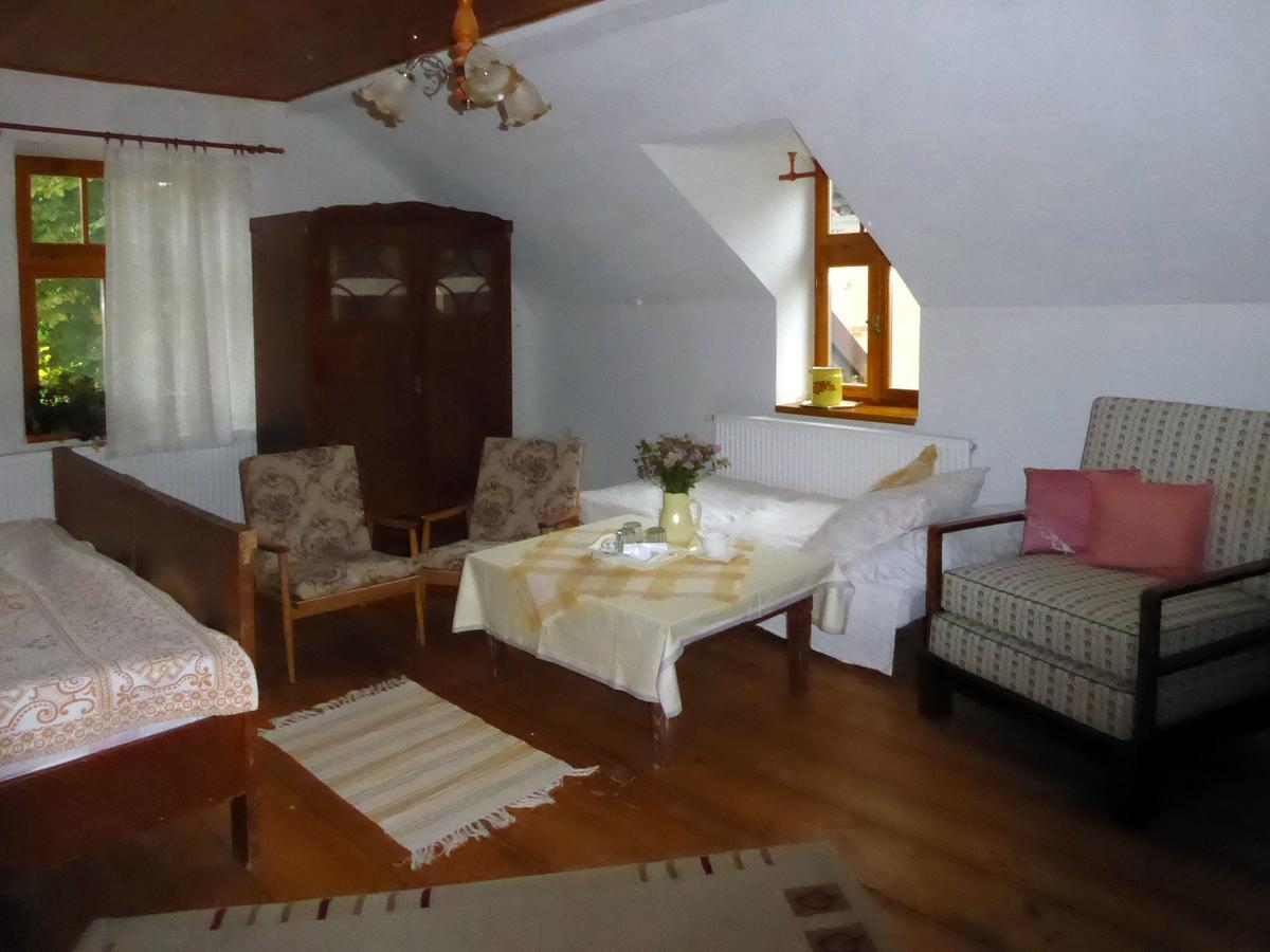 Penzion Sucháč Osecna Exteriér fotografie